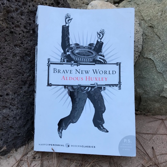 Other - BRAVE NEW WORLD book 🌎💪🏾